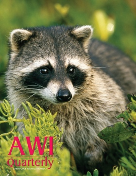 Summer 2006 AWI Quarterly Cover - Photo by Martin Woike/Foto Natura/Minden Pictures Summer 2006 AWI Quarterly Cover - Photo by Martin Woike/Foto Natura/Minden Pictures