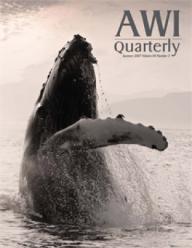 Summer 2007 AWI Quarterly Cover - Photo by John Hyde Summer 2007 AWI Quarterly Cover - Photo by John Hyde