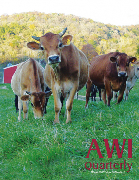 Winter 2007 AWI Quarterly Cover - Photo by Diane Halverson Winter 2007 AWI Quarterly Cover - Photo by Diane Halverson