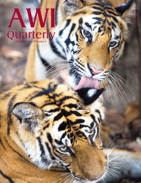 Fall 2008 AWI Quarterly Cover - Photo by Theo Allofs Fall 2008 AWI Quarterly Cover - Photo by Theo Allofs