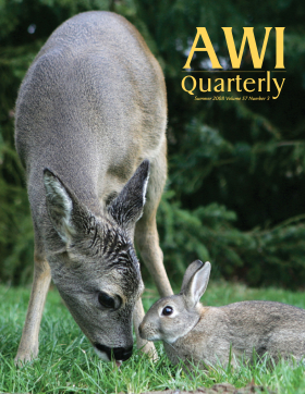 Summer 2008 AWi Quarterly Cover - Photo by Tanja Askani Summer 2008 AWi Quarterly Cover - Photo by Tanja Askani