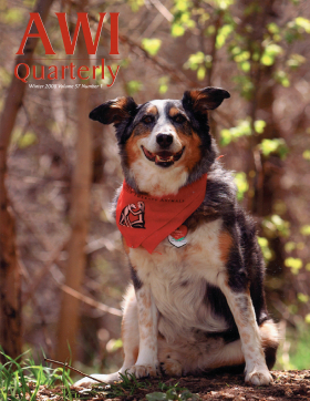 Winter 2008 AWI Quarterly Cover - Cover photo by Skip Huntress Winter 2008 AWI Quarterly Cover - Cover photo by Skip Huntress
