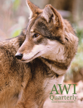 Summer 2014 AWI Quarterly - Cover Photo by Mark Newman/FLPA/Minden Pictures Summer 2014 AWI Quarterly - Cover Photo by Mark Newman/FLPA/Minden Pictures