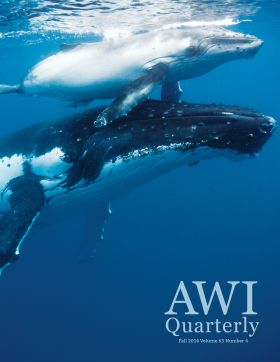 Fall 2014 AWI Quarterly - Cover Photo by Scott Portelli Fall 2014 AWI Quarterly - Cover Photo by Scott Portelli