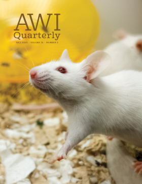 Fall 2025 Quarterly cover.