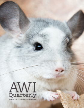 AWI Quarterly Magazine Cover - Winter 2021
