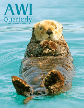 Spring 2009 AWI Quarterly Cover - Photo by Michael Gore/FLPA, Minden Pictures Spring 2009 AWI Quarterly Cover - Photo by Michael Gore/FLPA, Minden Pictures