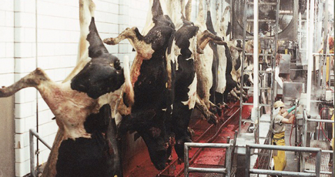 Humane Methods of Slaughter Act Humane Methods of Slaughter Act