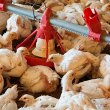 meat chickens crowded in small space