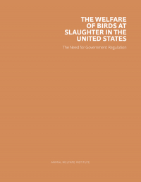 The Welfare of Birds at Slaughter in the United States Cover