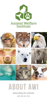 About Animal Welfare Institute Brochure About Animal Welfare Institute Brochure