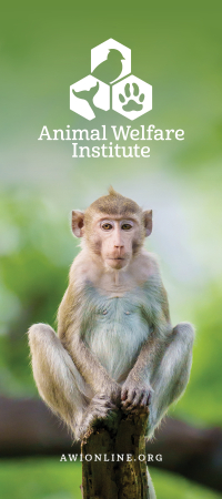 About Animal Welfare Institute Brochure