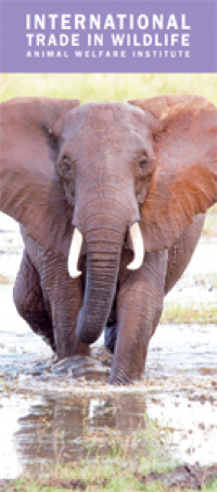 International Trade in Wildlife Brochure Cover International Trade in Wildlife Brochure Cover