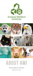 About Animal Welfare Institute Brochure About Animal Welfare Institute Brochure