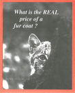 What Is the Real Price of a Fur Coat? Cover What Is the Real Price of a Fur Coat? Cover
