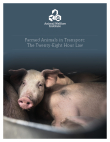 Farmed Animals in Transport: The Twenty-Eight Hour Law Cover