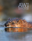AWI Quarterly AWI Quarterly