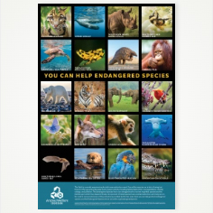 Endangered Species Poster