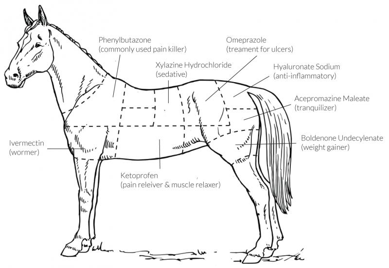 POISON: It's what's for dinner when horsemeat is on the menu