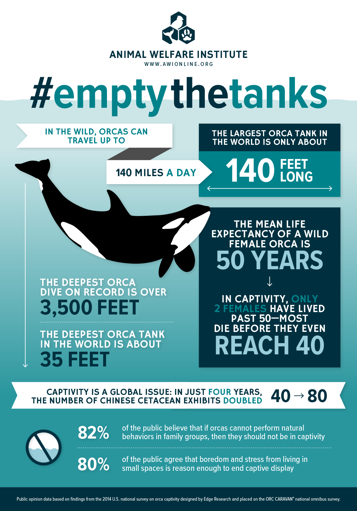 Infographic for Orcas in Captivity | Animal Welfare Institute