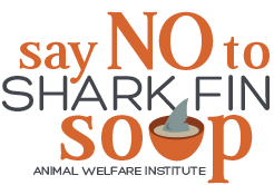 Restaurants Curly Offering Shark Fin Soup Say No To Shark Fin Soup Awi
