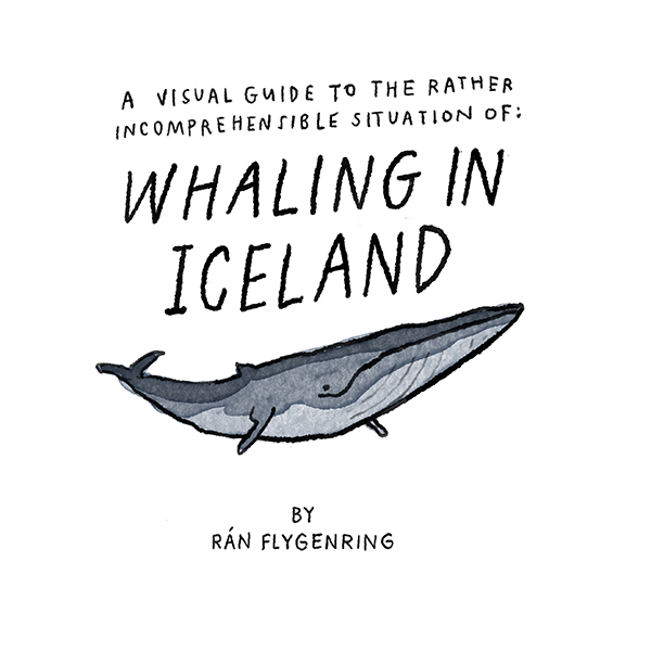 Icelandic Whaling