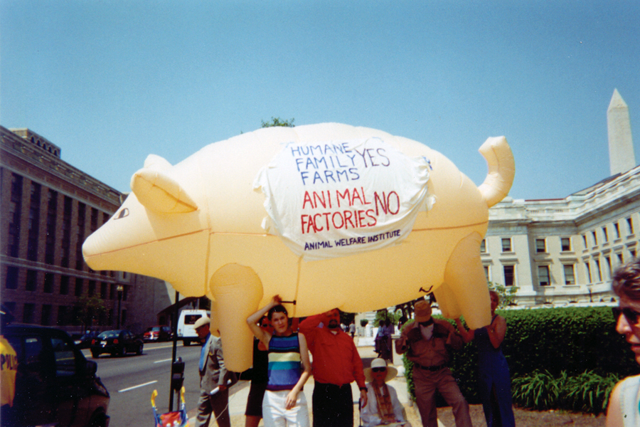 Factory Farms Protest.