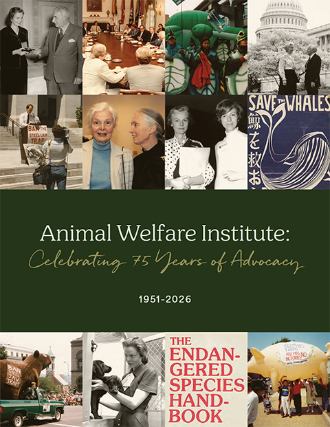 AWI: Celebrating 75 Years of Advocacy — 1951–2026 brochure cover