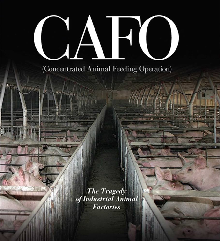 interior of a cafe with pigs