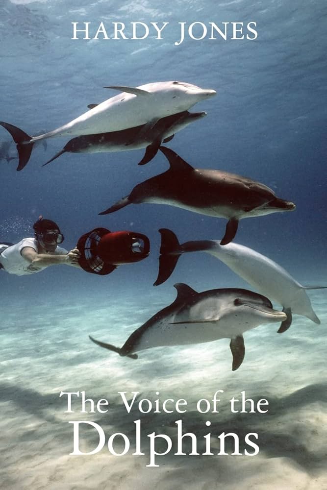 scuba diver swimming with dolphins