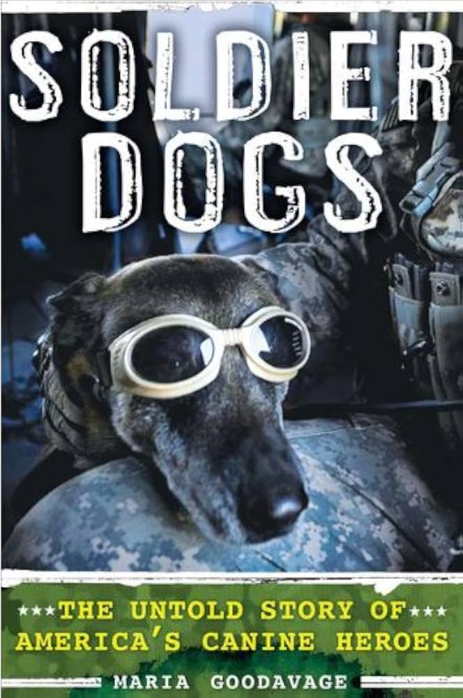 dog with goggles on army suit lap