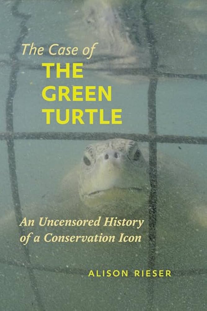 green turtle under water behind cage wall