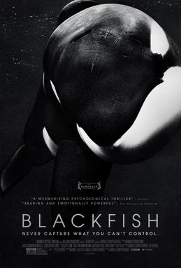 isolated profile of orca