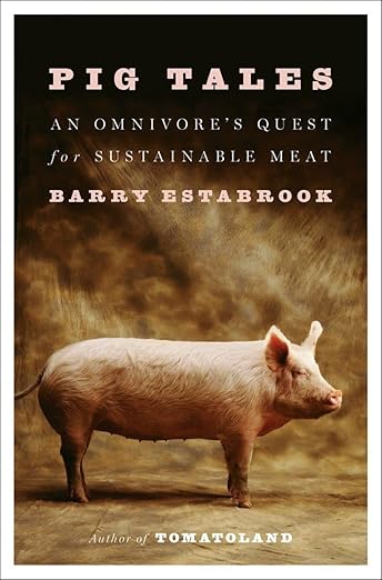 isolated pig in brown environment