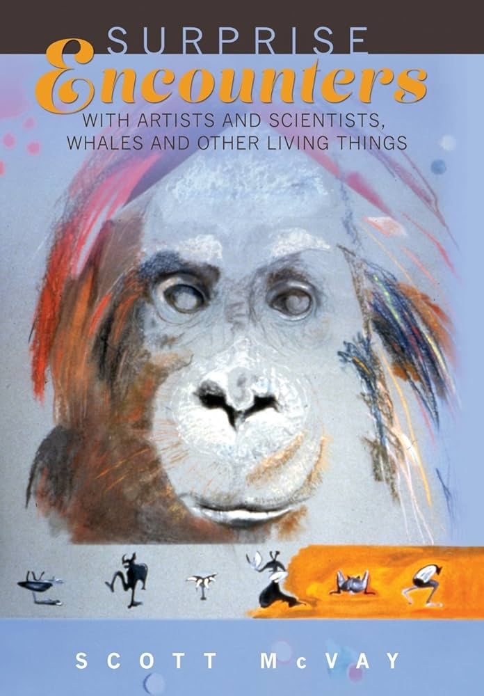 surprise encounters book cover