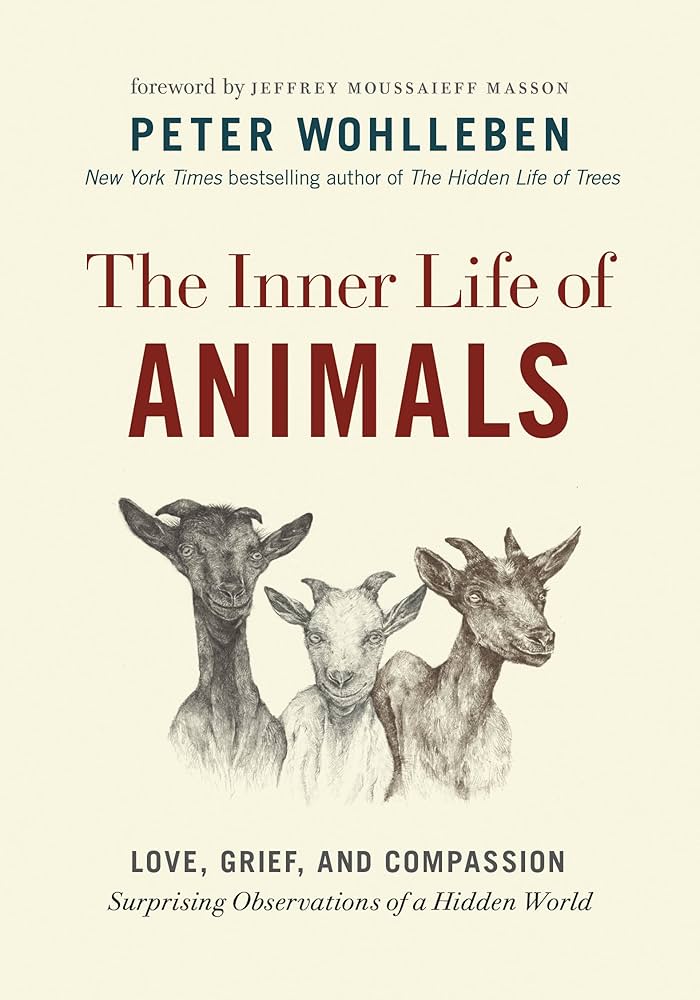 three illustrated goats centered on a book cover