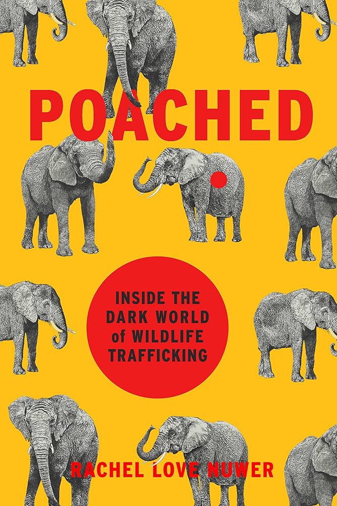 illustrated elephants surround book cover