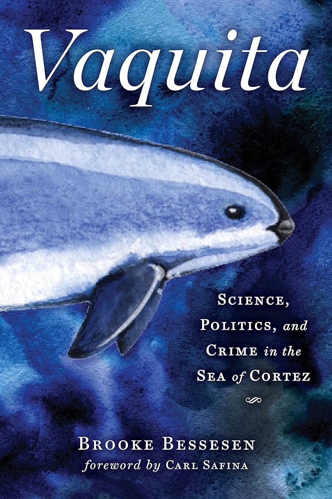 illustrated vaquita crosses water