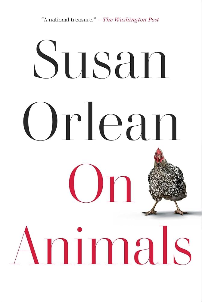 hen stands near title text
