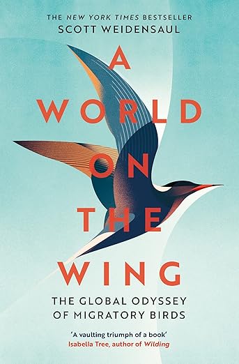 illustrated bird spreads wings through air