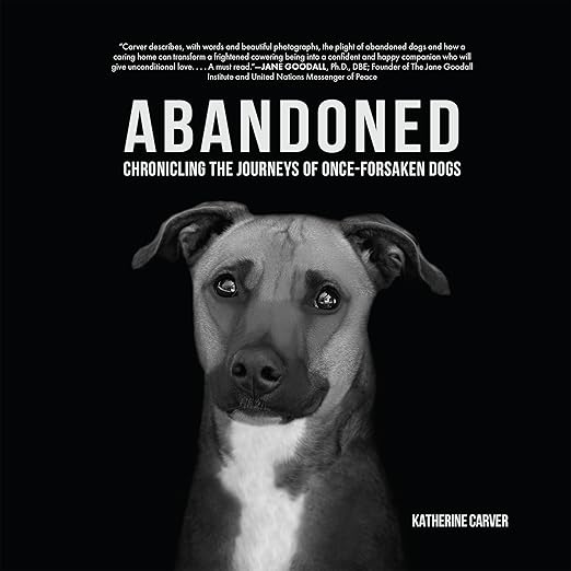 sad dog looks forward