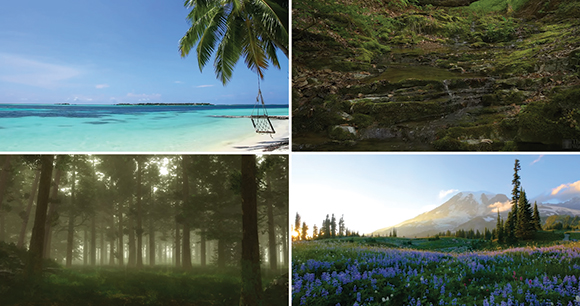 Stills from natural landscape videos shown to monkeys in laboratories. Researchers used a grant from AWI to seek indicators that exposure to these videos has a positive effect on the animals’ welfare.