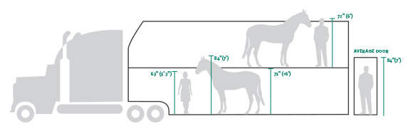 diagram of horse transportation truck