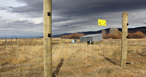 a conflict prevention fence guards a field