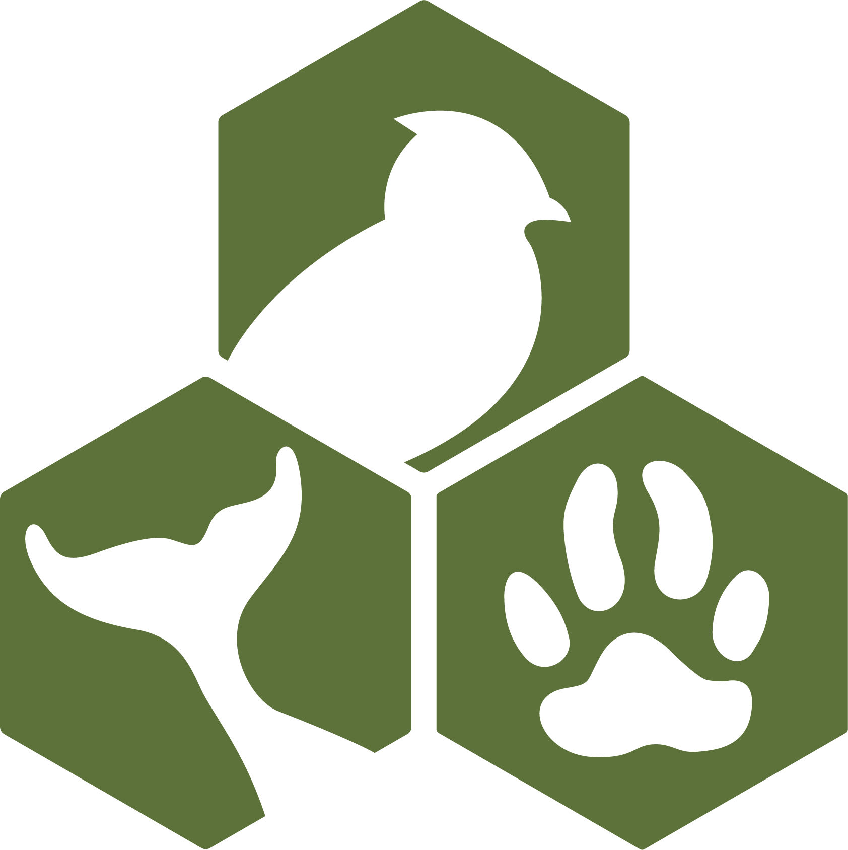 AWI Logo