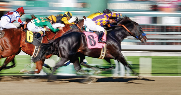 Several Thoroughbred race horses gallop down a dirt track.