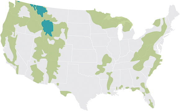 Graphic displaying approximate current range of black bears (green) and grizzly bears (blue) in the contiguous United States, based on maps produced by the US Geological Survey and US Fish and Wildlife Service