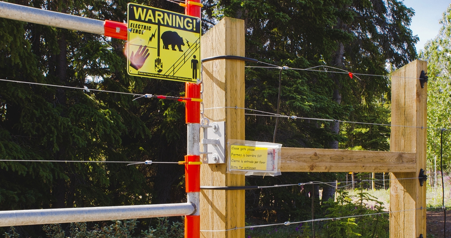 a bear fence