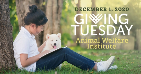 a dog sits with a young girl who is reading against a tree trunk