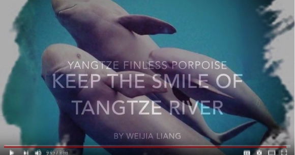 a screenshot of Weijia Liang's first-place video, “Protect the Smile of the Yangtze River," at the 2018 A Voice for Animals contest